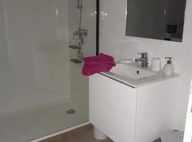 Apartment Amanala Poitou Saint-Genest-d'Ambiere